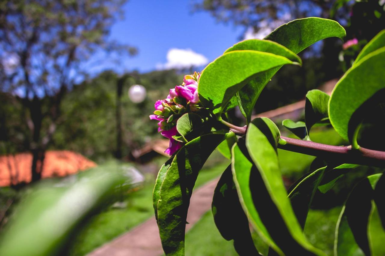 Pousada Recanto Dos Beija Flores Monte Alegre do Sul Exterior photo